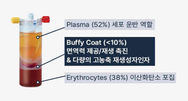 혈액 줄기세포