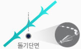 실루엣