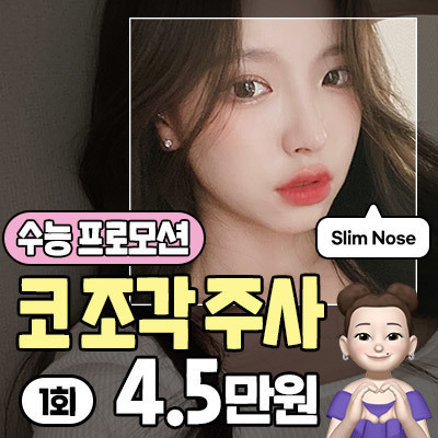코조각주사_수능